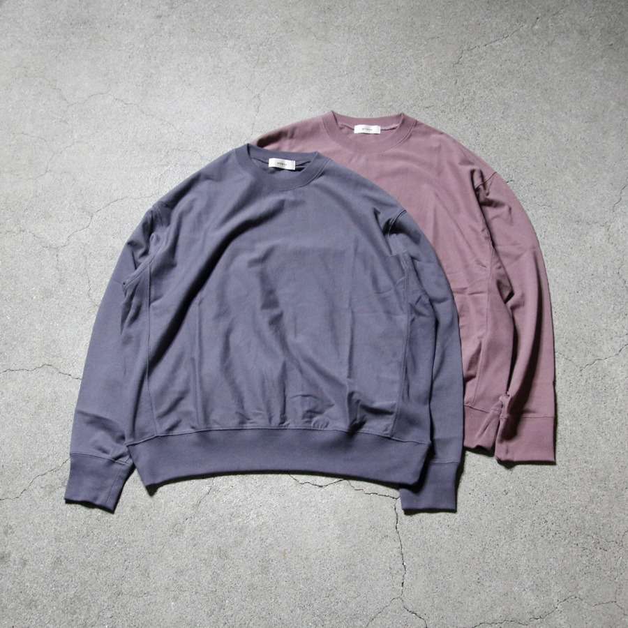 alvana【空紡 BD SWEAT TEE SHIRTS】